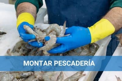 Ayudas para montar una pescadería