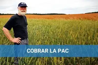 Se puede cobrar la PAC sin ser agricultor
