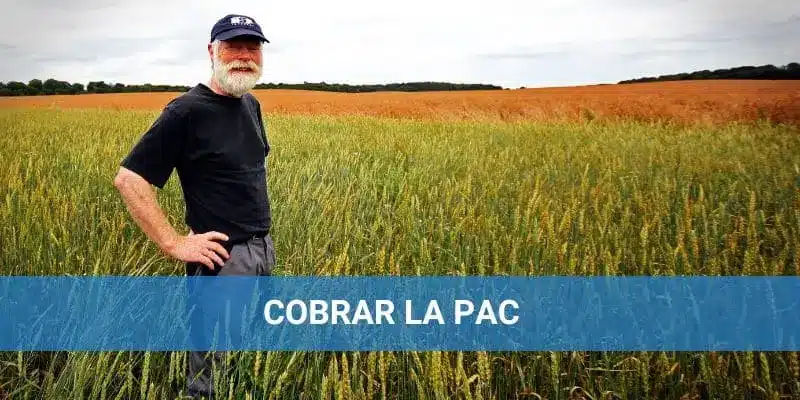 Se puede cobrar la PAC sin ser agricultor